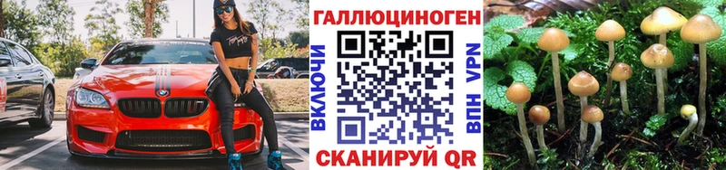 Купить где  Киров  Псилоцибиновые грибы Magic Shrooms 